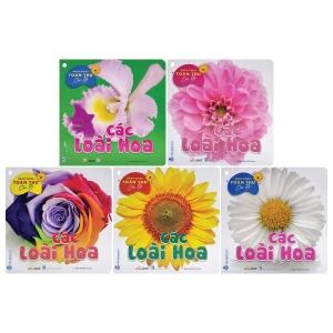 Bách Khoa Toàn Thư Cho Bé - Các Loài Hoa (Bộ 5C)