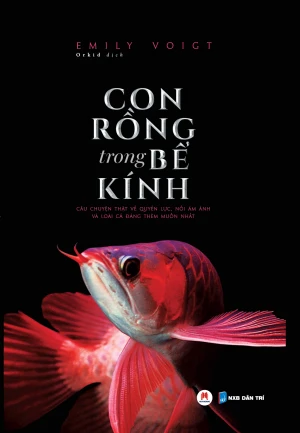 Con Rồng Trong Bể Kính