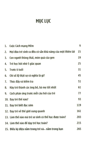 Cửa Sổ Vàng Cho Trí Tuệ Của Trẻ