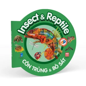 Từ điển bằng hình - Côn trùng & Bò sát - Insect & Reptile