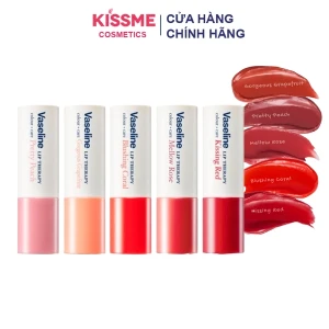 Son Dưỡng Môi Có Màu Vaseline Lip Therapy Colour Care 4.2g