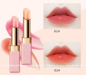 Son dưỡng môi có màu HOJO 8042 -Auth Nội Địa Trung