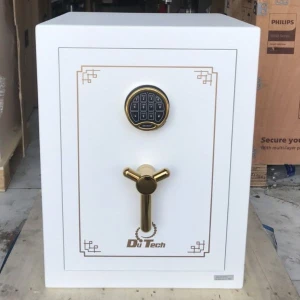 Két sắt FORMAT DTCK-S màu trắng