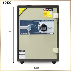 Két sắt hàn quốc trusafe HQ56DTLED korea cao cấp