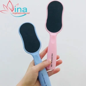 CÂY CHÀ GÓT CHÂN VACOSI