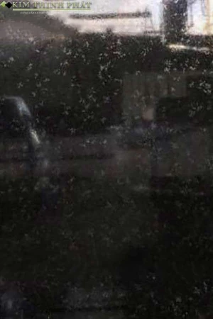 Giá Đá Đen Bengal Ấn Độ G20, Đá Đen Ấn Độ G20 Siêu Bóng Ốp Bàn Bếp, Cầu Thang