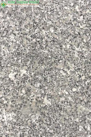 Giá Đá Trắng Suối Lau