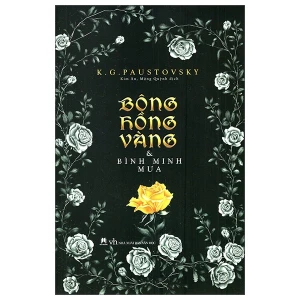 Bông hồng vàng và bình minh mưa