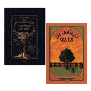 Hoa Vẫn Nở Mỗi Ngày Cây Cam Ngọt Của Tôi