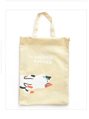 Túi vải không dệt đựng sách