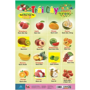 Bách Khoa Toàn Thư Cho Bé - Tranh Treo Tường