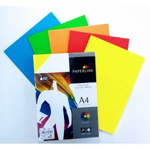Giấy bìa 5 màu A4 paperline (5 tờ/xấp)