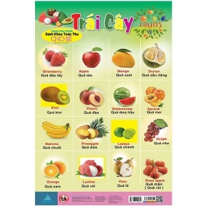 Bách khoa Toàn thư cho bé (Tranh treo Tường) - Chữ Cái Tiếng Việt