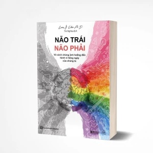 Não trái não phải và cách chúng ảnh hưởng đến hành vi hàng ngày của chúng ta