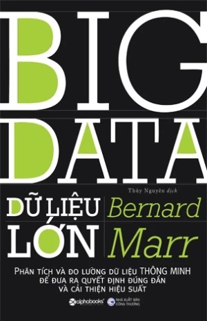 Big Data - Dữ Liệu Lớn