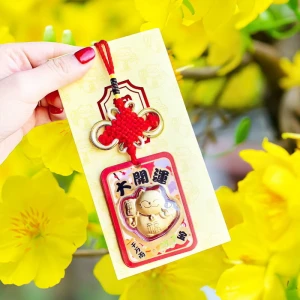 Bao lì xì con mèo thần tài phong thủy món quà lì xì tết may mắn phát tài phát lộc