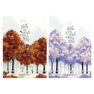 Hoá ra anh vẫn ở đây T1+2 – Tân Di Ổ - Nhà Sách Bảo Anh