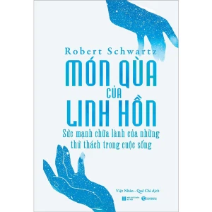 Món Quà Của Linh Hồn - Sức Mạnh Chữa Lành Của Những Thữ Thách Trong Cuộc Sống - Nhà Sách Bảo Anh