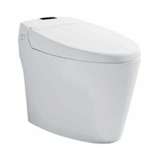 Bồn cầu điện tử Moen SW1241C