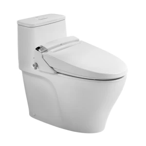 Bồn cầu Inax AC-989 CW-KA22AVN nắp điện tử