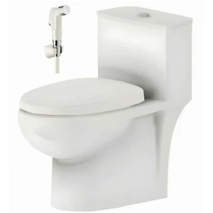 Bồn cầu Viglacera V819 kèm vòi xịt VG826