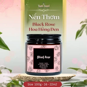 Nến thơm Black Rose (hũ 100ml) - Youth Scent