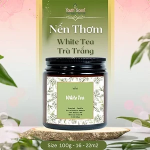 Nến thơm White Tea (hũ 100ml) - Youth Scent