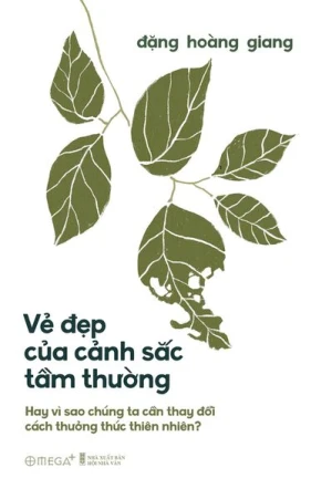 Vẻ Đẹp Của Cảnh Sắc Tầm Thường
