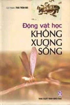 Động vật không xương sống