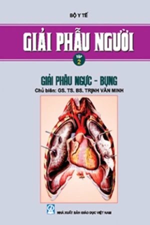 Giải phẫu người tập II: Giải phẫu ngực