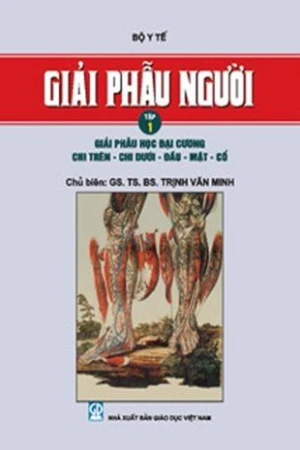 Giải phẫu người tập1: Giải phẫu học đại cương- chi trên-chi dưới-đầu-mặt-cổ