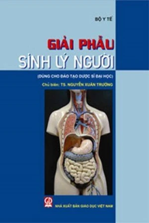 Giải phẫu sinh lý người( Dùng cho ĐT dược sĩ đại học)