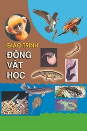 Giáo trình Động vật học