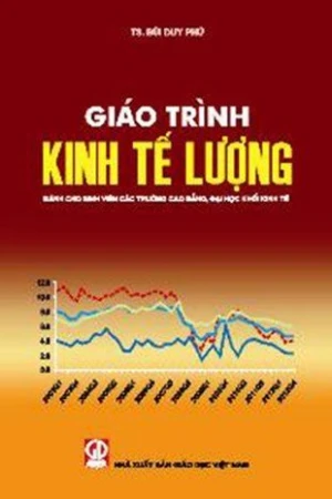 Giáo trình kinh tế lượng