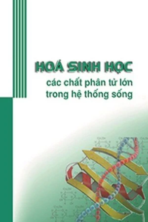 Hóa sinh học các chất phân tử lớn trong hệ thống sống