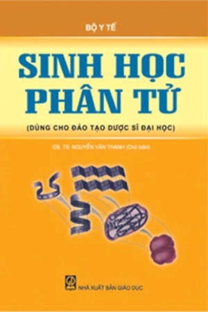 Sinh học phân tử (Đào tạo dược sĩ đại học)