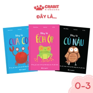 Bộ sách Đây là - Tương tác khám phá thiên nhiên (3 cuốn)