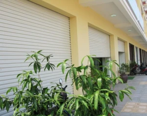 Cửa cuốn Tấm liền series 3