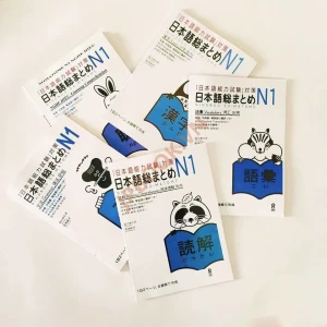 Bộ Soumatome N1 Bản Dịch Việt 5 Cuốn