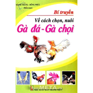 Bí Truyền Về Cách Chọn Và Nuôi Gà Đá Gà Chọi - Mạnh Thắng