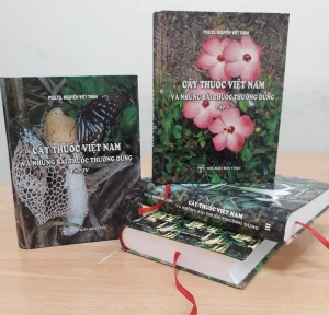 Cây Thuốc Việt Nam Và Những Bài Thuốc Thường Dùng