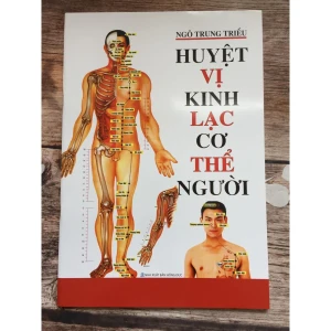 Huyệt Vị Kinh Lạc Cơ Thể Người Ngô Trung Triều