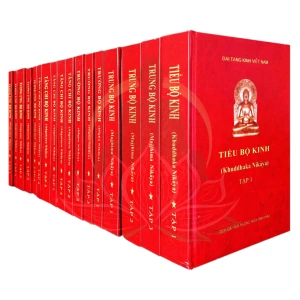 Kinh Nikaya (Trường Bộ, Trung Bộ, Tương ưng Bộ, Tăng chi Bộ, Tiểu Bộ kinh) - HT THÍCH MINH CHÂU (BỘ 17 QUYỂN)
