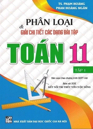 PHÂN LOẠI VÀ GIẢI CHI TIẾT CÁC DẠNG BÀI TẬP TOÁN LỚP 11