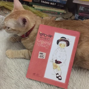 Tottochan Cô Bé Bên Cửa Sổ - Kuroyanagi Tetsuko - Sách Cũ ABC