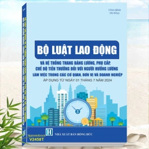 Sách Bộ Luật Lao Động Và Hệ Thống Thang Bảng Lương, Phụ Cấp, Chế Độ Tiền Thưởng