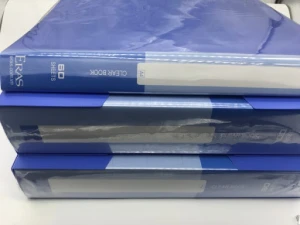 Bìa 20/30/40/60/80/100 Lá ERAS