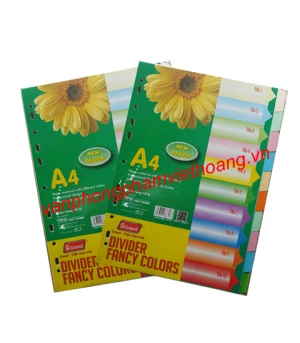 Chia file bìa 10 màu PGrand