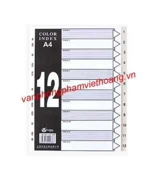 Chia file nhựa 12 lá COLOR INDEX (có số 1-12)