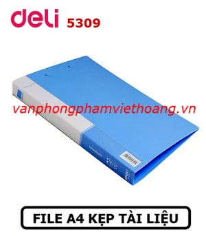 File 2 kẹp 2cm Deli 5309